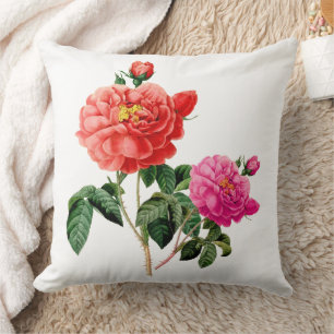 vintage botaniskt konst rosa och blommor från röd kudde
