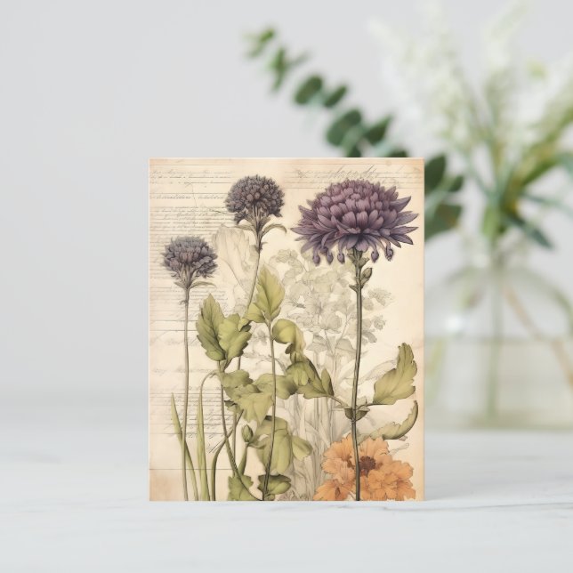 Vintage botaniskt örtalbum papper (Stående Fram)