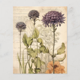 Vintage botaniskt örtalbum papper