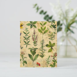 Vintage Botaniskt örthäftepapper 