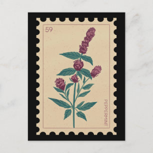 Vintage Botaniskt peppermyntBlommigt Vykort