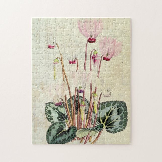 Vintage Botaniskt persiskt cyklamen Pussel (Vertikal)