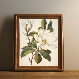 Vintage Botaniskt Poster