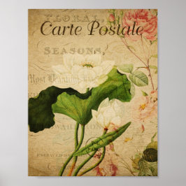 Vintage Botaniskt Poster - Fransk Lotus