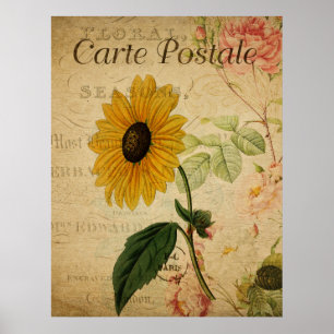 Vintage botaniskt Poster - Fransk Solros
