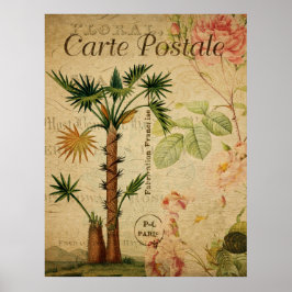 Vintage Botaniskt Poster - Handflatan Träd