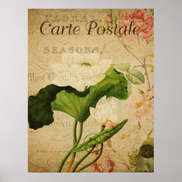 Vintage Botaniskt Poster - Lotus Flower