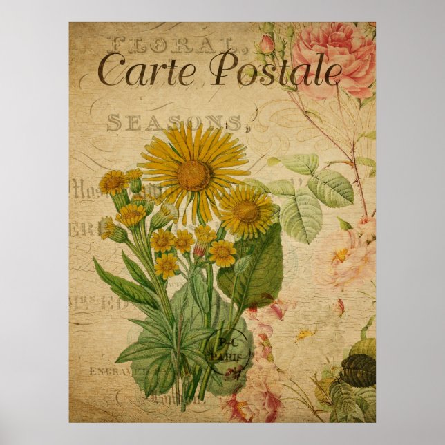 Vintage Botaniskt Poster - Marigold (Framsidan)