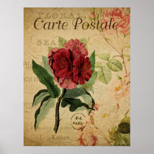 Vintage Botaniskt Poster - Rhododenron
