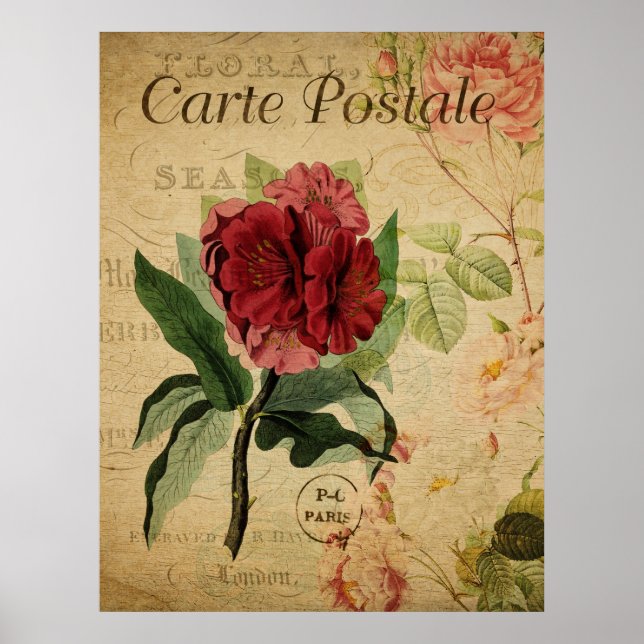 Vintage Botaniskt Poster - Rhododenron (Framsidan)