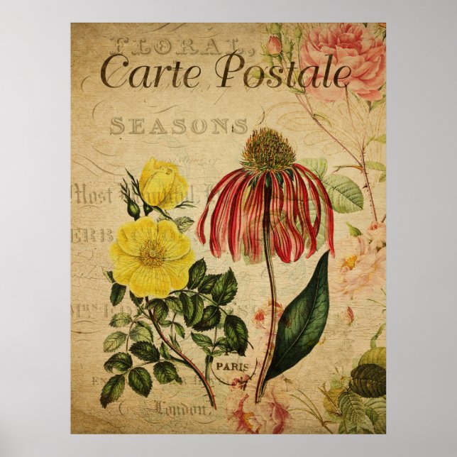 Vintage Botaniskt Poster - Rudbeckia (Framsidan)