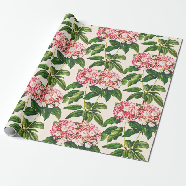 Vintage Botaniskt Rosa Mountain Laurel Flower Presentpapper (Utrullad)