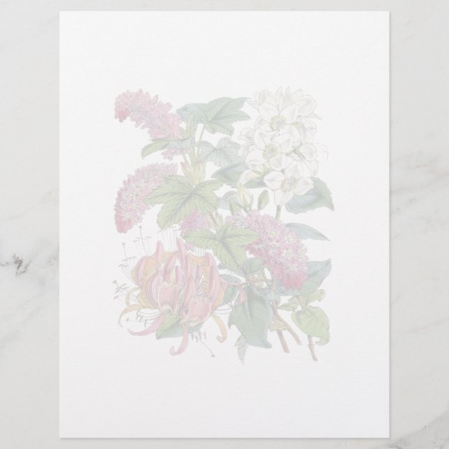 Vintage Botaniskt sida (Framsida)