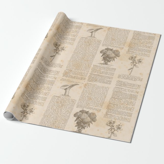 Vintage Botaniskt tidningspapper Presentpapper (Utrullad)
