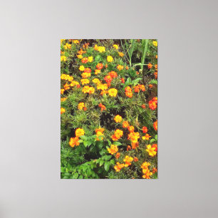 Vintage botaniskt trädgårdsfoto canvastryck