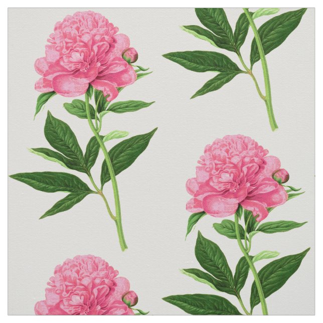 Vintage Botaniskt utskrift, stor Rosa Peony Tyg (Provkarta)