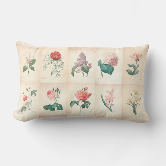 Vintage Botaniskt vattenfärg av Redoute - Pillow Lumbarkudde (Framsida)