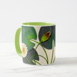 Vintage Botaniskt vattenhaltigt Mugg