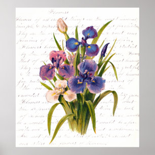 Vintage Bouquet av Lilacs - Text av Clara Balfour Poster