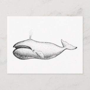 Vintage Bowhad Whale Illustration Vykort