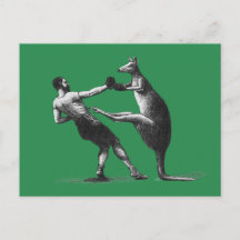 Vintage Boxing Kangaroo vykort