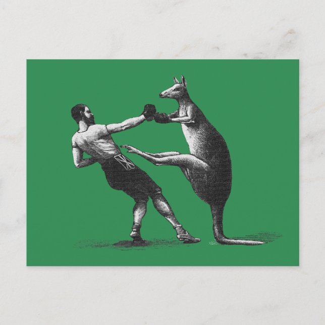 Vintage Boxing Kangaroo vykort (Framsida)