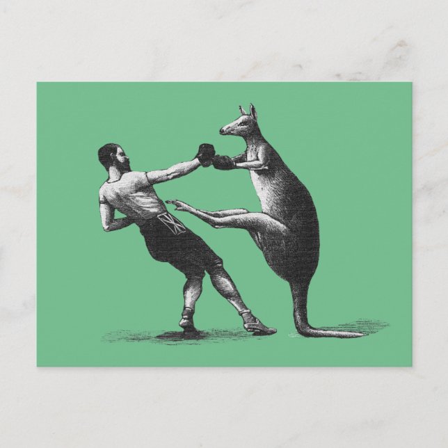 Vintage Boxing Kangaroo Vykort (Framsida)