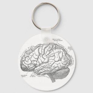 Vintage Brain Anatomy Nyckelring