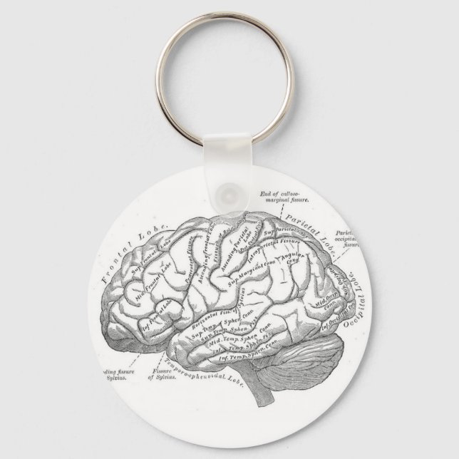 Vintage Brain Anatomy Nyckelring (Framsida)