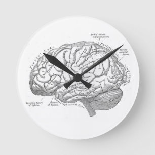 Vintage Brain Anatomy Rund Klocka