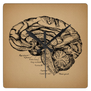 Vintage Brain Diagram Antique Medical Anatomy Art Fyrkantig Klocka
