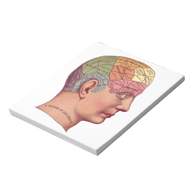 Vintage Brain Function Illustration Anteckningsblock (Roterad)