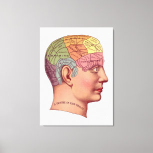 Vintage Brain Function Illustration Canvastryck