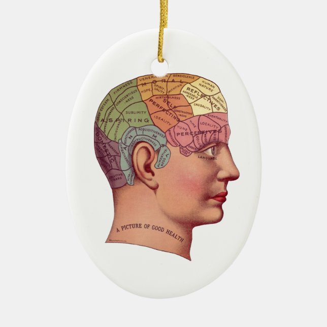 Vintage Brain Function Illustration Julgransprydnad Keramik (Framsidan)