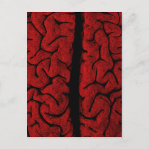 Vintage Brain-vykort Vykort