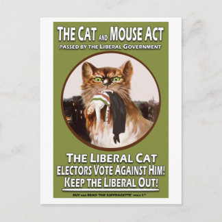 Vintage British Suffragette Cat and Mouse Act Vykort
