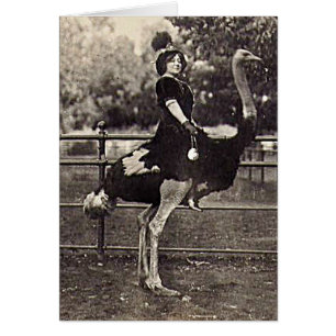 Vintage Broadway Actress Riding an Ostrich Hälsningskort