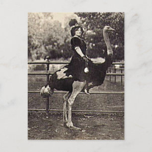 Vintage Broadway Actress Riding an Ostrich Vykort