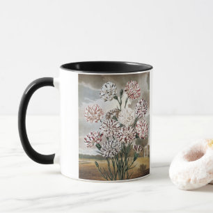 Vintage brokiga nejlikor med grå himmel mugg