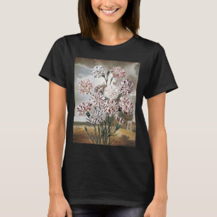 Vintage brokiga nejlikor med grå himmel t shirt