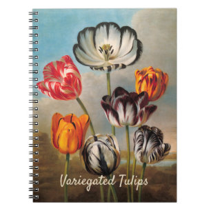 Vintage brokiga tulpanblommor i ett landskap anteckningsbok