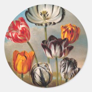 Vintage brokiga tulpanblommor i ett landskap runt klistermärke