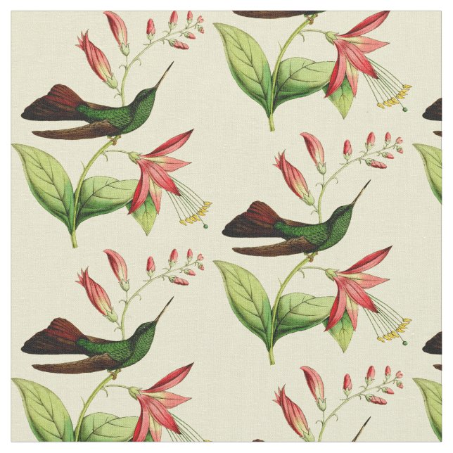 Vintage brons den Tailed Plumeleteer hummingbirden Tyg (Närbild)