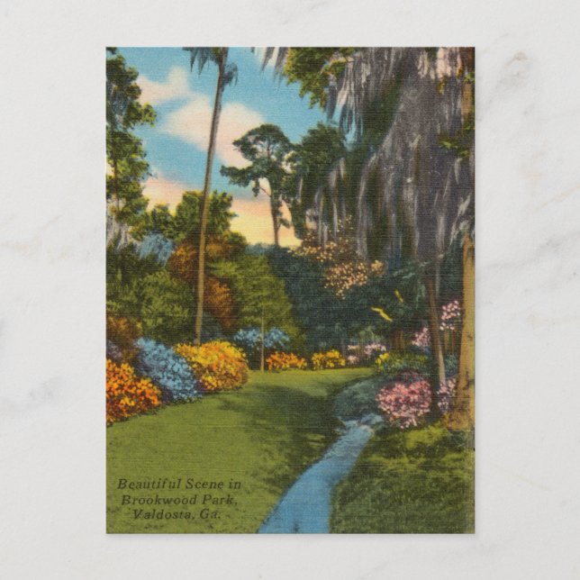 Vintage Brookwood Park, Valdosta Georgia Vykort (Framsida)