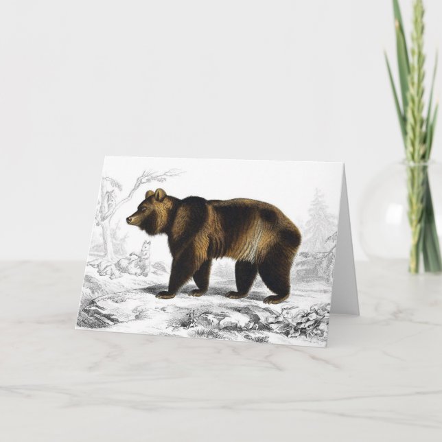 Vintage Brown Bear 1849 Book Illustration Kort (Framsida)