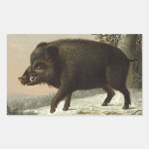 Vintage Brown Boar Hunting Painting, Wildlife Art Rektangulärt Klistermärke