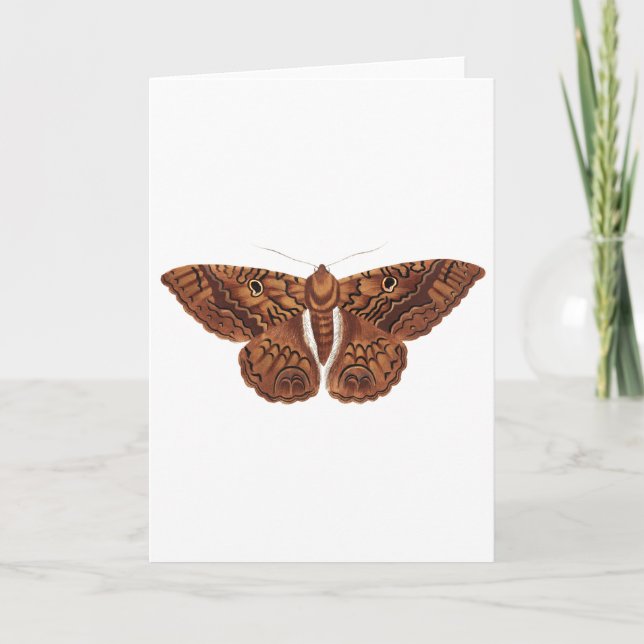 Vintage Brown Butterfly Kort (Framsida)