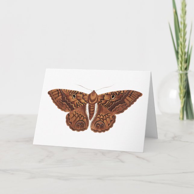 Vintage Brown Butterfly Kort (Framsida)