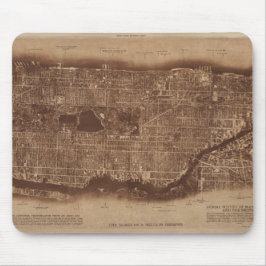 Vintage Brown New York City Karta Lionel Pincus Musmatta