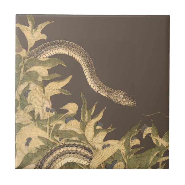 Vintage Brown Snake Kakelplatta (Framsidan)